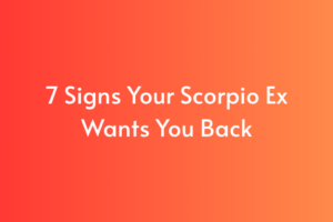 7 Signs Your Scorpio Ex Wants You Back